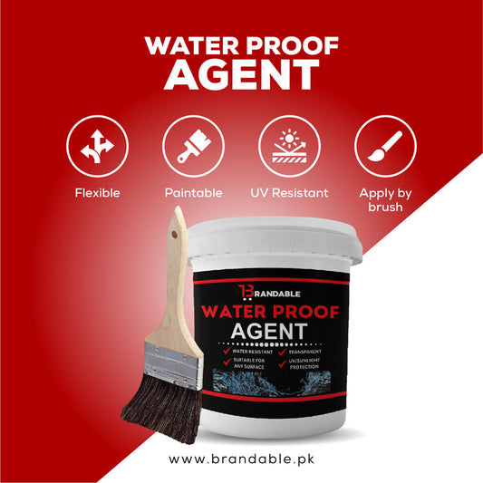 Waterproof Anti-Leakage Agent With Free Brush